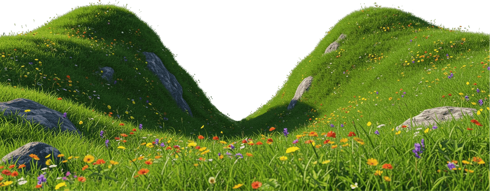 Decoration Image