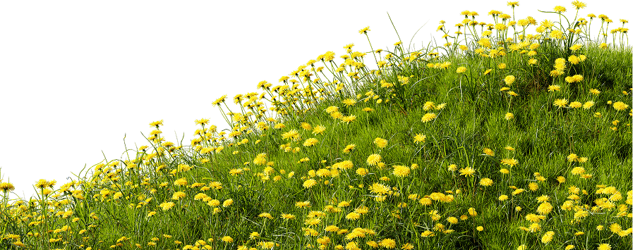 Decoration Image